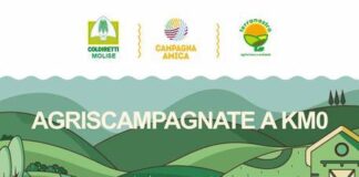 agriscampagnate isernia