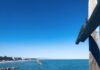 mare costa termoli