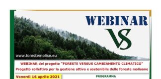 webinar foreste 16 aprile 2021