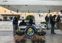 Azalea della ricerca - stand a Isernia