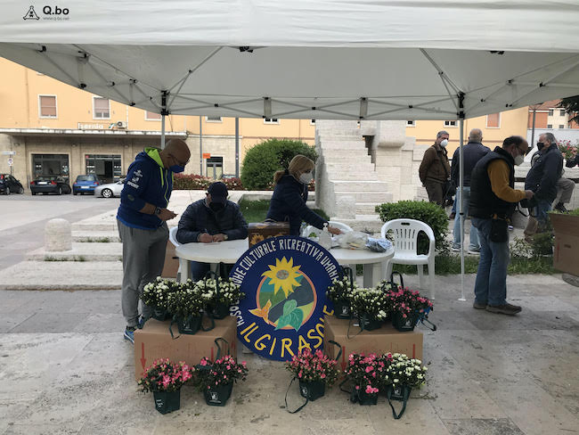 Azalea della ricerca - stand a Isernia