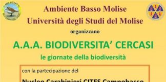 biodiversità