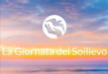 la giornata del sollievo