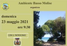 pineta pulita 23 maggio 2021