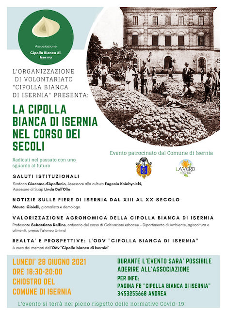 convegno cipolla bianca