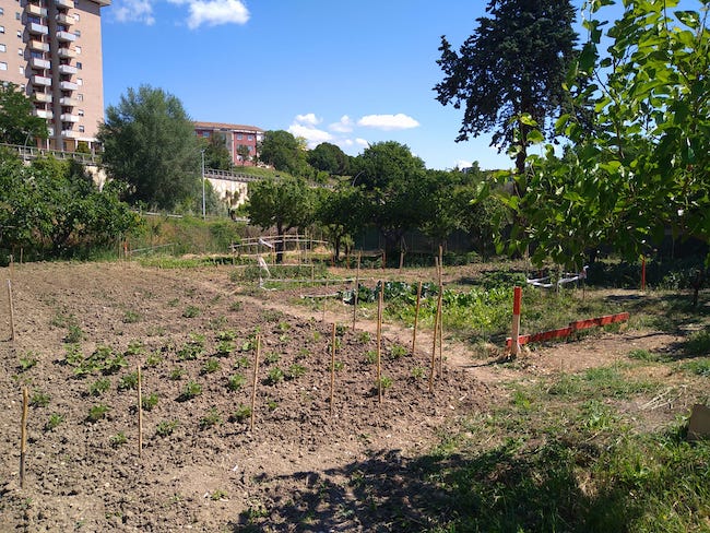 orto condiviso campobasso