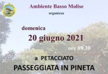 pineta petacciato