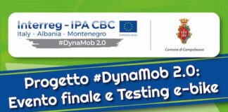 progetto dynamob 27 giugno 2021