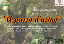 trekking a passo d'asino 2021