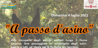 trekking a passo d'asino 2021