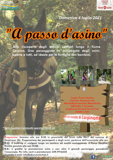 trekking a passo d'asino 2021