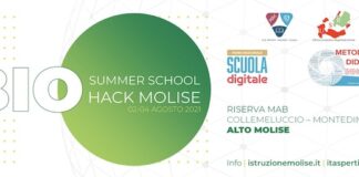 bio summer school