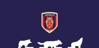 campagna abbonamenti campobasso calcio 2021-2022