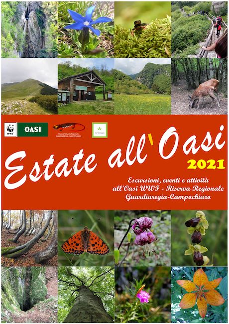 estate oasi 2021