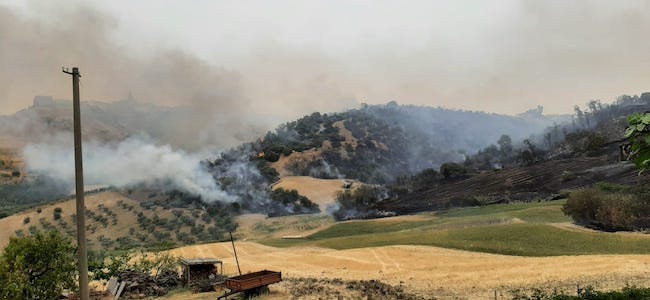 incendi basso molise