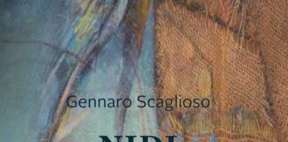 libro nidi di rondini