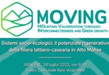 moving locandina