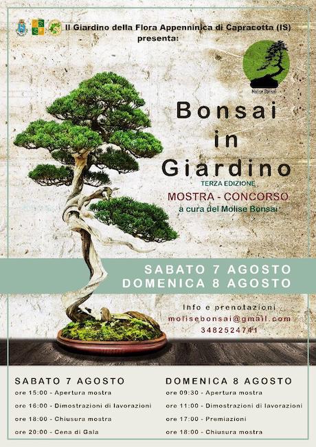 bonsai in giardino 2021