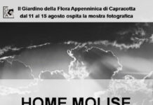 locandina home molise