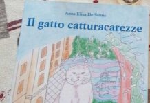 copertina libro il gatto catturacarezze