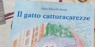 copertina libro il gatto catturacarezze