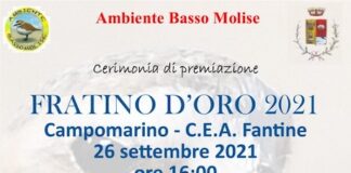 manifesto fratino d'oro