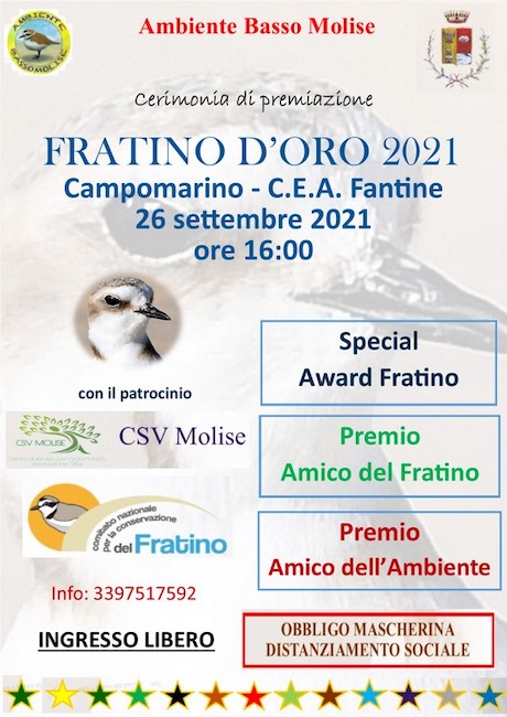 manifesto fratino d'oro