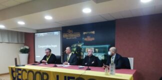 convegno cooperazione inclusione