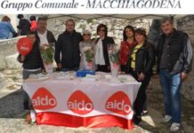 gruppo comunale aido macchiagodena