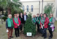 manifestazione avo molise