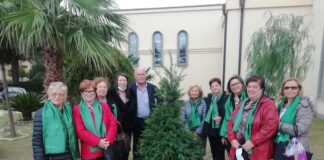 manifestazione avo molise