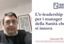 de leo e-leadership