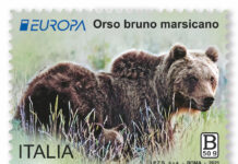 francobollo orso europa 2021