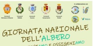 locandina giornata nazionale dell'albero