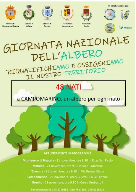 locandina giornata nazionale dell'albero