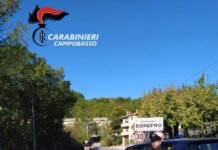 carabinieri bonefro