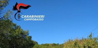 carabinieri bonefro