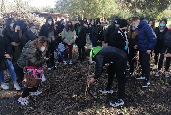 cercasi biodiversità