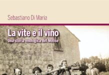 libro la vite e il vino