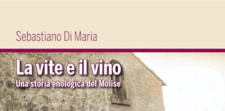 libro la vite e il vino