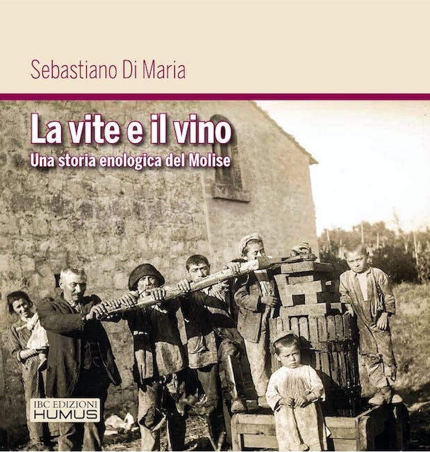 libro la vite e il vino