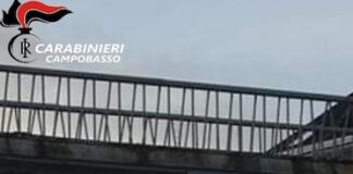 passerelle de l'arche campobasso