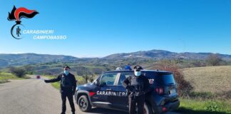 posto blocco carabinieri campobasso