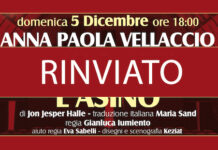 rinvio l'asino