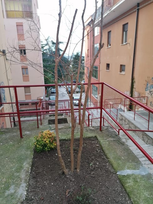 riqualificazione scalinata campobasso