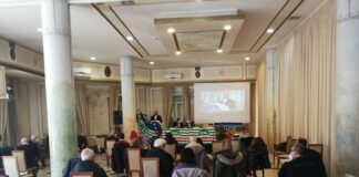 assemblea cisl