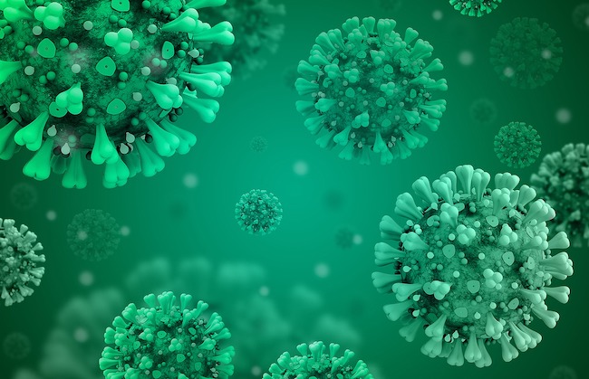 coronavirus verde mercoledì