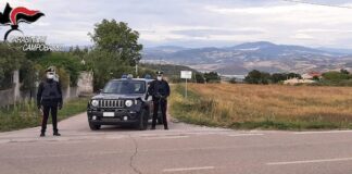 posto di blocco carabinieri campobasso