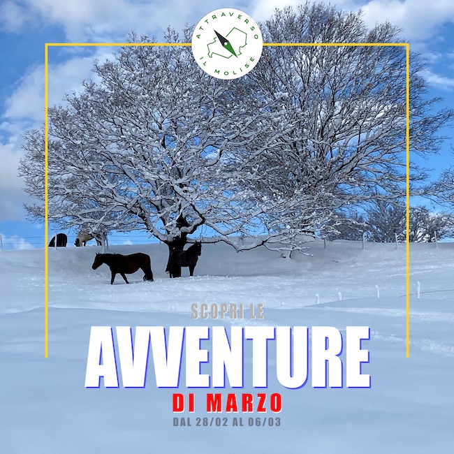 avventure marzo