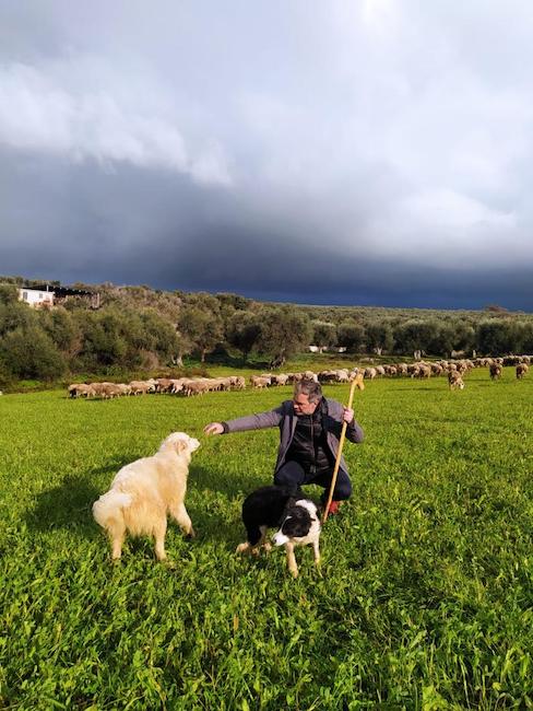 linea verde molise